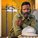 guard, man, indian, beard, uniform, military, army, outdoors, india, portrait, indian, army, army, army, india, india, india, india, india